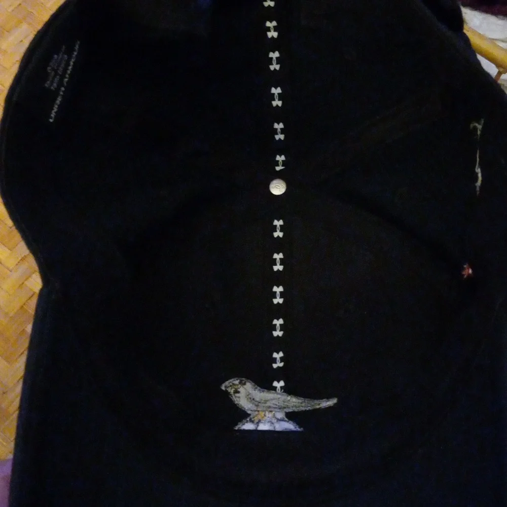 Under Armour Seagal Bird Embroidered Cap American Flag Hat OSFA